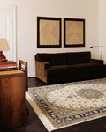 Tapis de salon spécial scintillant à tissage serré de haute qualité à motif classique série Topkapı 04 CRÈME